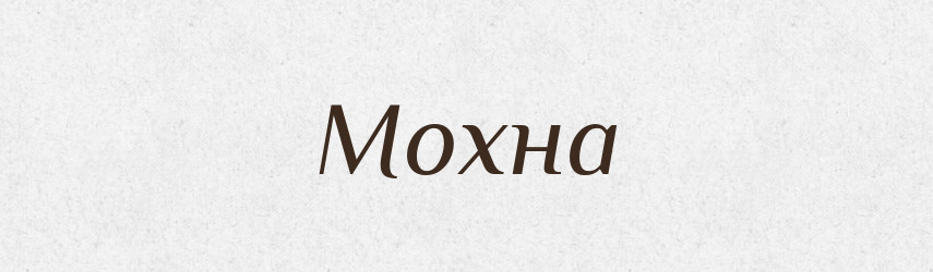 Мохна — Російсько-український академічний словник (А–П)