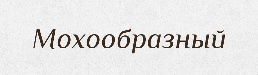 Мохообразный — Російсько-український академічний словник (А–П)