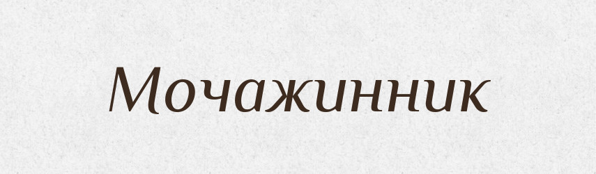 Мочажинник — Російсько-український академічний словник (А–П)