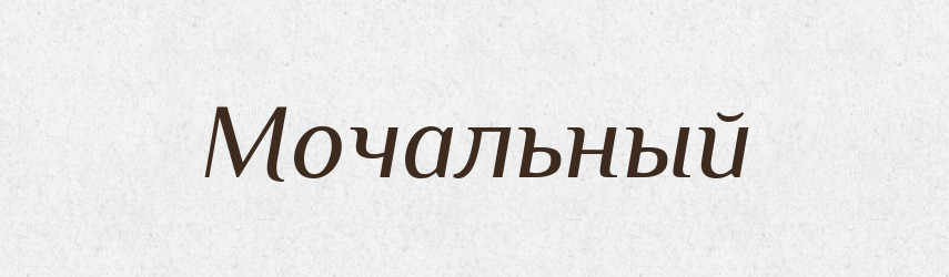 Мочальный — Російсько-український академічний словник (А–П)