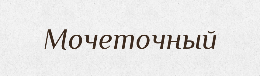 Мочеточный — Російсько-український академічний словник (А–П)