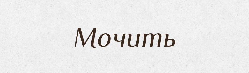 Мочить — Російсько-український академічний словник (А–П)