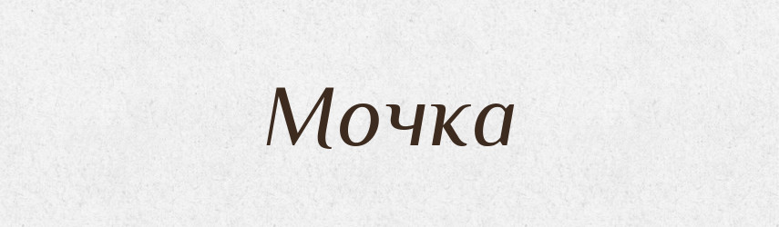 Мочка — Російсько-український академічний словник (А–П)