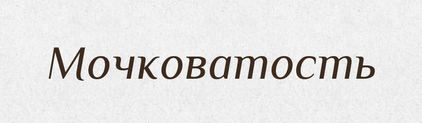 Мочковатость — Російсько-український академічний словник (А–П)