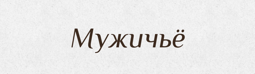 Мужичьё — Російсько-український академічний словник (А–П)