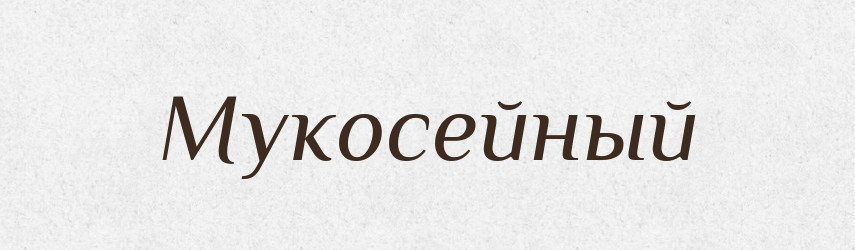 Мукосейный — Російсько-український академічний словник (А–П)