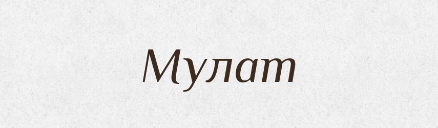Мулат — Російсько-український академічний словник (А–П)