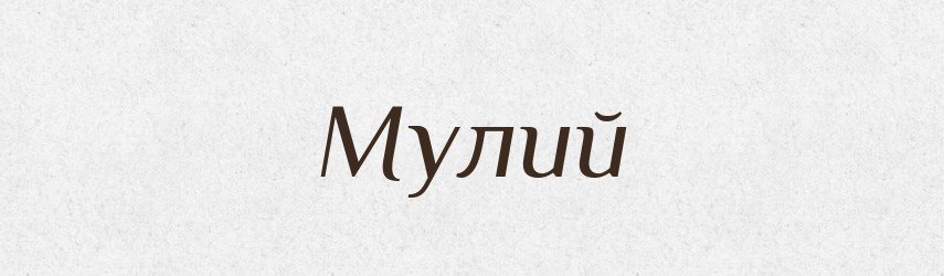 Мулий — Російсько-український академічний словник (А–П)