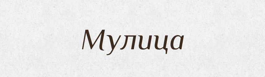 Мулица — Російсько-український академічний словник (А–П)