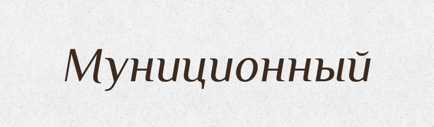 Муниционный — Російсько-український академічний словник (А–П)