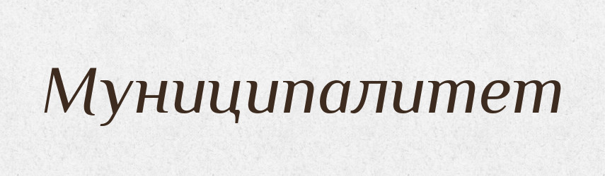 Муниципалитет — Російсько-український академічний словник (А–П)