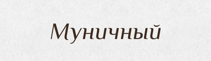 Муничный — Російсько-український академічний словник (А–П)