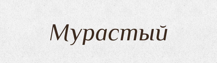 Мурастый — Російсько-український академічний словник (А–П)