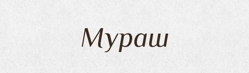 Мураш — Російсько-український академічний словник (А–П)