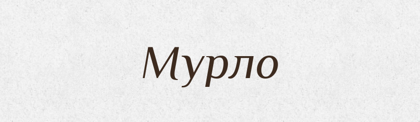 Мурло — Російсько-український академічний словник (А–П)
