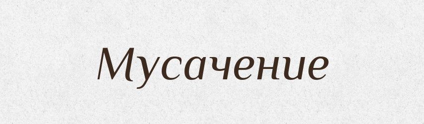 Мусачение — Російсько-український академічний словник (А–П)
