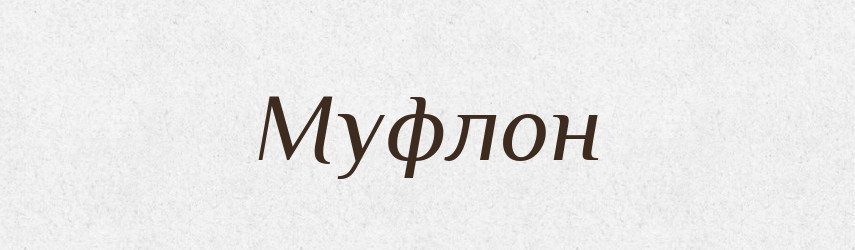 Муфлон — Російсько-український академічний словник (А–П)