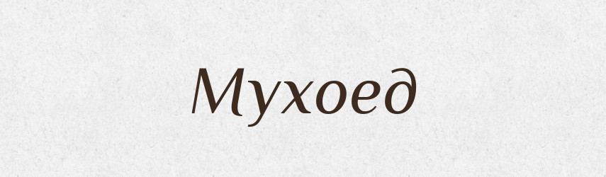 Мухоед — Російсько-український академічний словник (А–П)