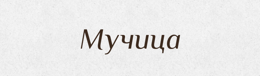Мучица — Російсько-український академічний словник (А–П)