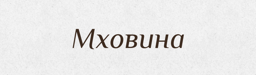 Мховина — Російсько-український академічний словник (А–П)