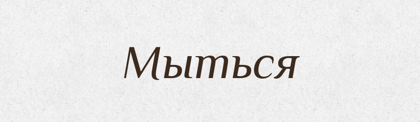 Мыться — Російсько-український академічний словник (А–П)