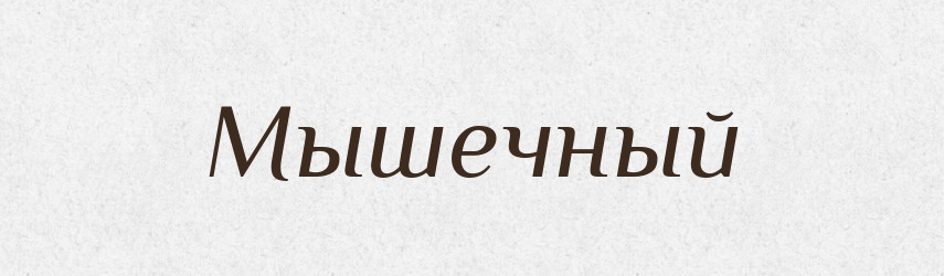 Мышечный — Російсько-український академічний словник (А–П)