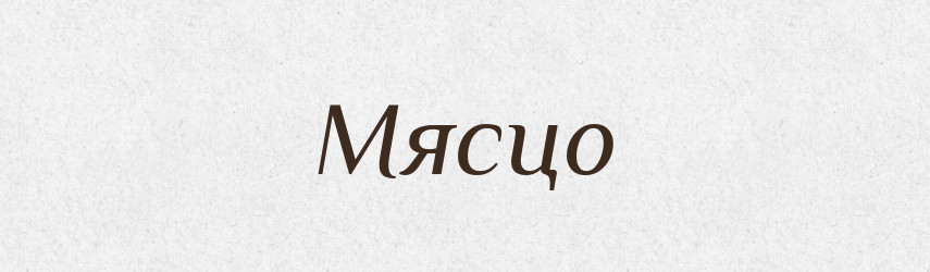 Мясцо — Російсько-український академічний словник (А–П)