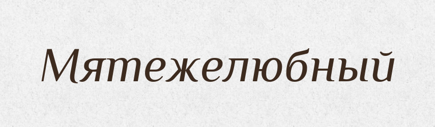 Мятежелюбный — Російсько-український академічний словник (А–П)