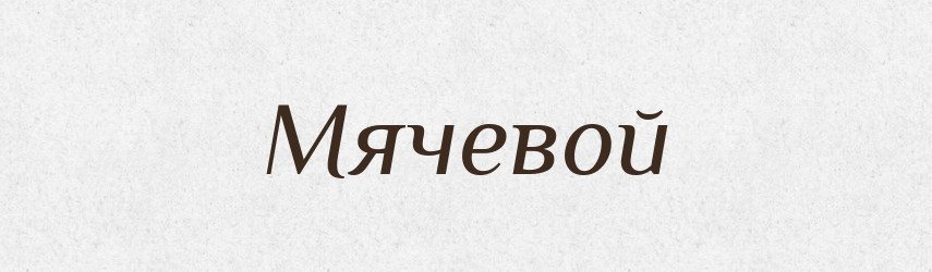 Мячевой — Російсько-український академічний словник (А–П)