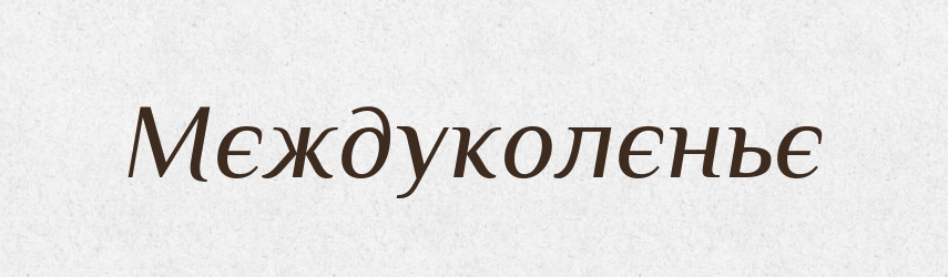 Мєждуколєньє — Російсько-український академічний словник (А–П)