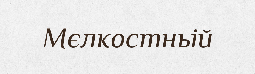 Мєлкостньій — Російсько-український академічний словник (А–П)