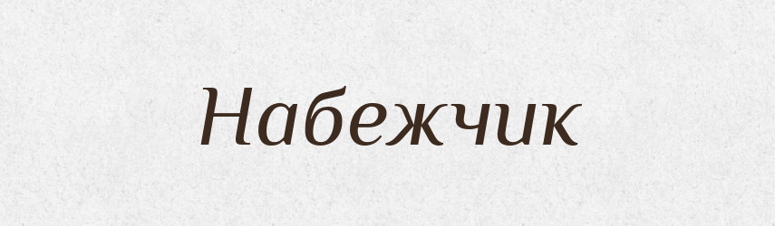 Набежчик — Російсько-український академічний словник (А–П)
