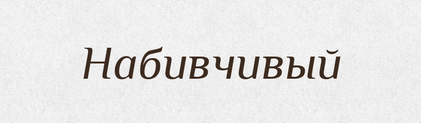Набивчивый — Російсько-український академічний словник (А–П)