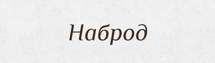Наброд — Російсько-український академічний словник (А–П)