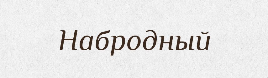 Набродный — Російсько-український академічний словник (А–П)