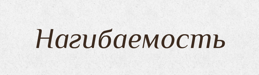 Нагибаемость — Російсько-український академічний словник (А–П)