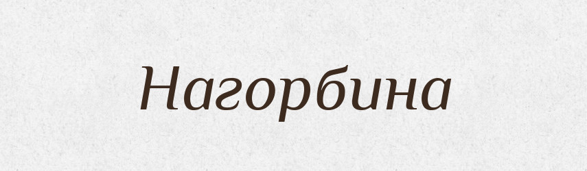 Нагорбина — Російсько-український академічний словник (А–П)