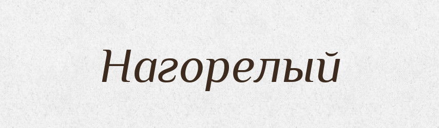 Нагорелый — Російсько-український академічний словник (А–П)