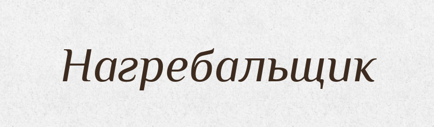 Нагребальщик — Російсько-український академічний словник (А–П)