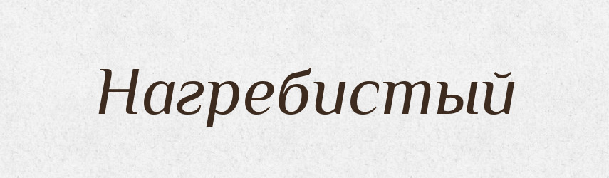 Нагребистый — Російсько-український академічний словник (А–П)