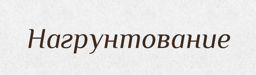 Нагрунтование — Російсько-український академічний словник (А–П)