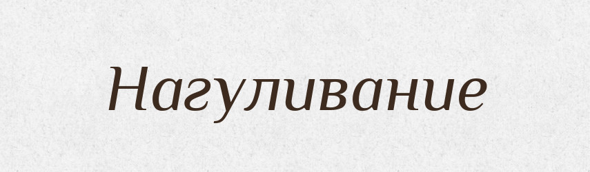 Нагуливание — Російсько-український академічний словник (А–П)