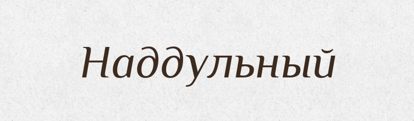 Наддульный — Російсько-український академічний словник (А–П)