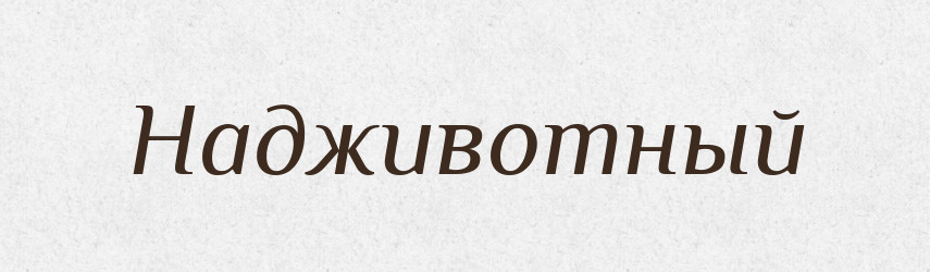Надживотный — Російсько-український академічний словник (А–П)