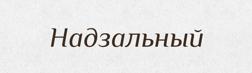 Надзальный — Російсько-український академічний словник (А–П)