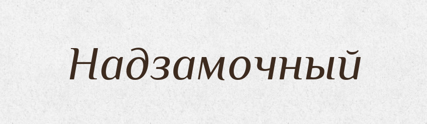 Надзамочный — Російсько-український академічний словник (А–П)