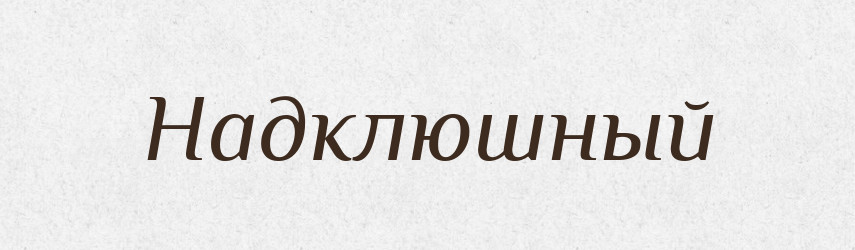 Надклюшный — Російсько-український академічний словник (А–П)