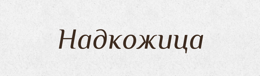 Надкожица — Російсько-український академічний словник (А–П)