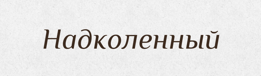 Надколенный — Російсько-український академічний словник (А–П)