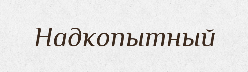 Надкопытный — Російсько-український академічний словник (А–П)